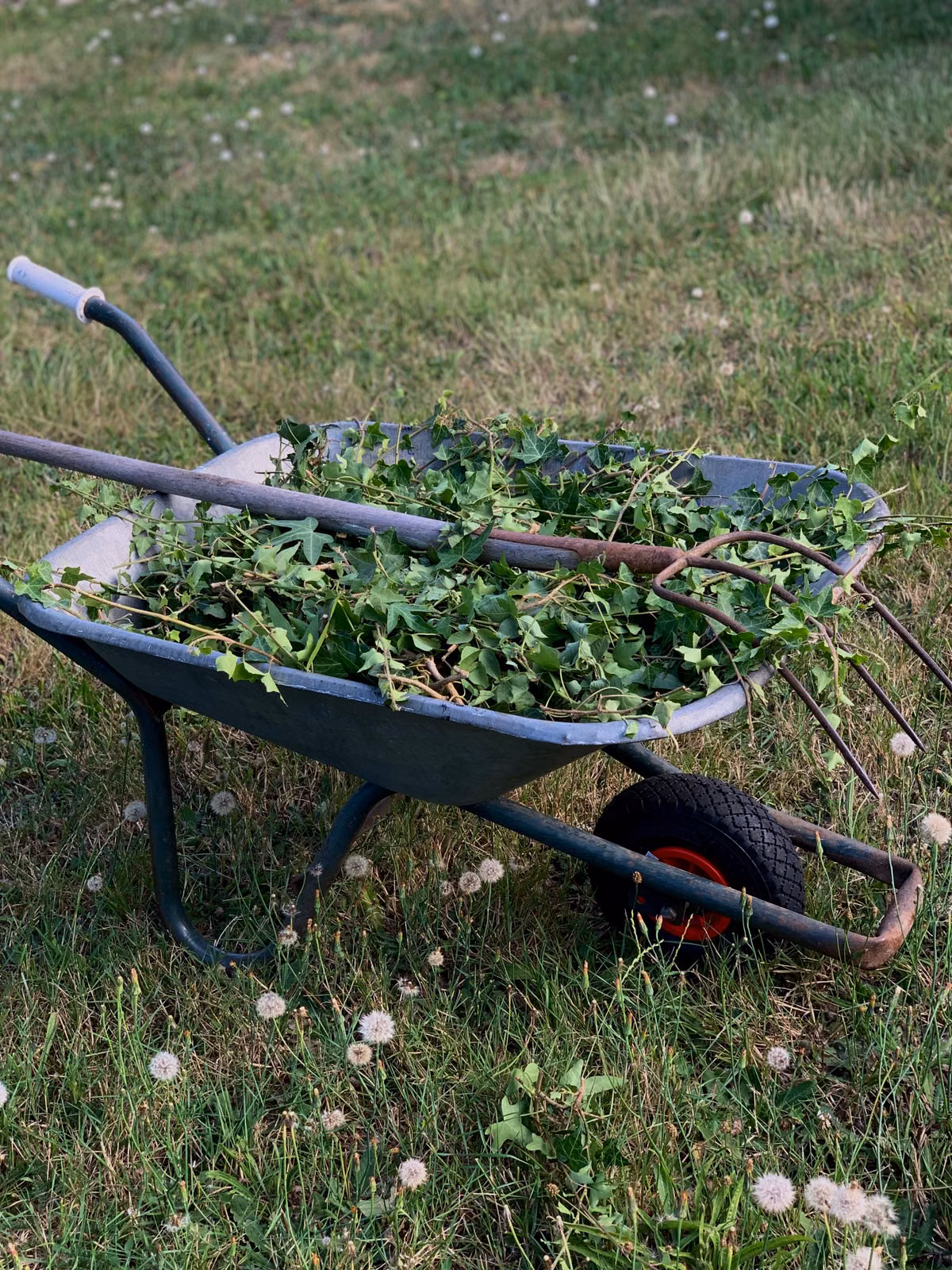 Clean residential yard after outdoor debris removal in Osage Beach