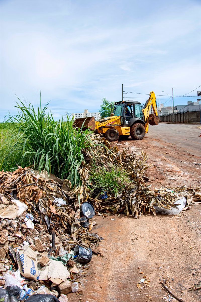 Junk Be Gone team removing outdoor debris during a yard clean up in Osage Beach